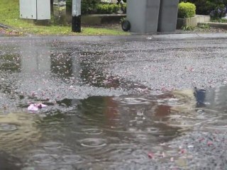 En Avril, ne te découvre pas d'un fil !