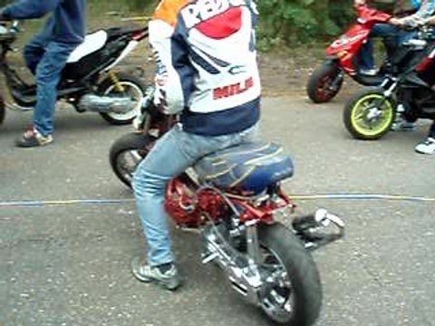 spitro manston vs nitro top perf due +