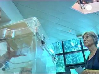 Fransızlar oy verme merkezlerine koştu