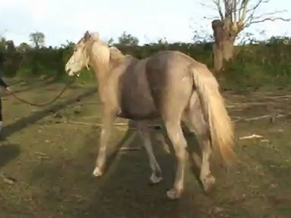 bébéééééééé