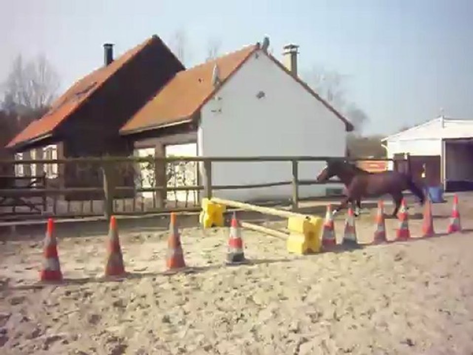 Topaze des Auberts 1