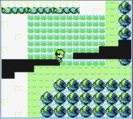 Walkthrough Pokémon Jaune: N°2: L'équipe s'agrandit!