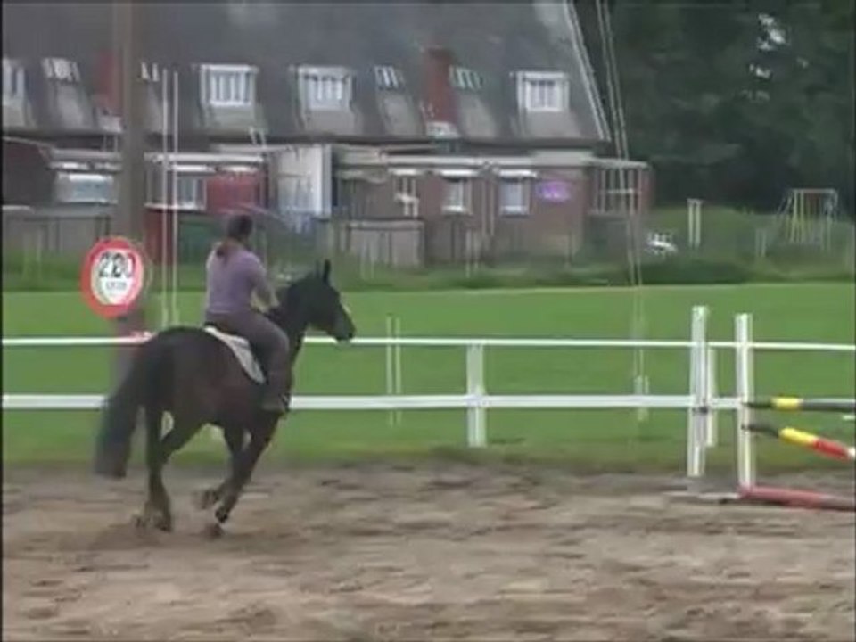 L'équitation est bien plus qu'un simple sport...