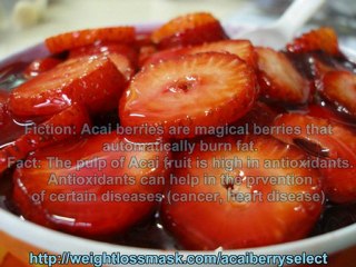 Acai Berry, What's That: The Truth About Acai Berry