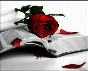 sesli chat sesli sohbet uyuzsevdam.com Benim Canım Sevgilim