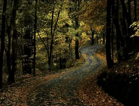 Seyfi DOĞANAY TURNAM GİDERSEN MARDİNE