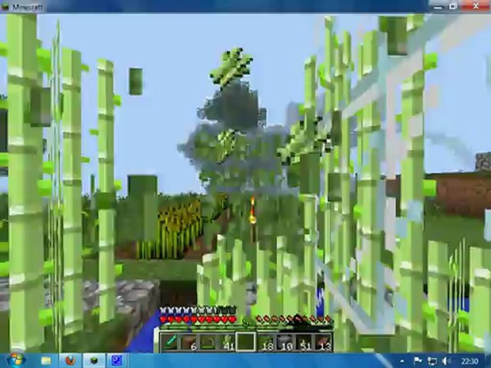 minecraft 1