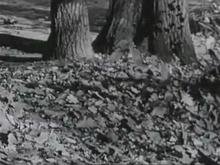 Cora Vaucaire - Portrait kabbalistique + Les feuilles mortes (1970)