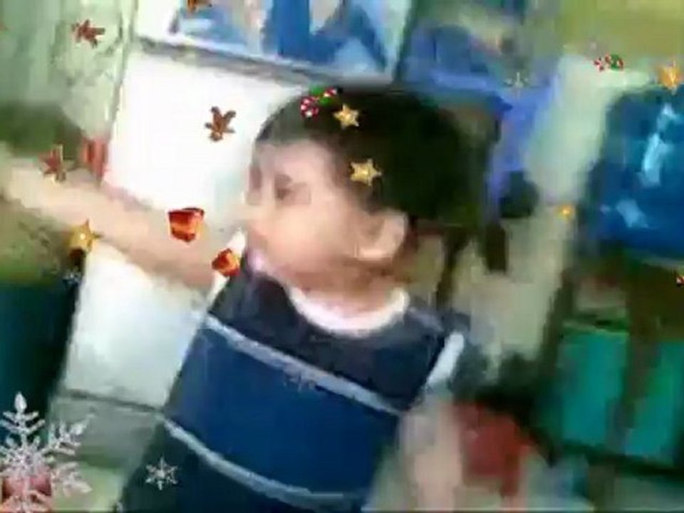 Bin2FLV