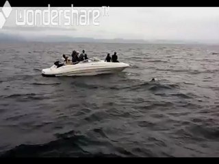 Salvator Cimmino en nage dans le lac kivu