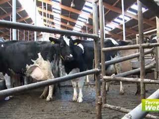 Robots de traite et circulation des animaux - Catherine Journel, vétérinaire : « C’est économiquement intéressant de préparer deux mélangeuses »