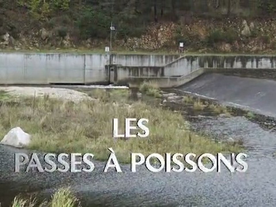Les passes à poissons