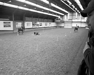 Leçon d'équitation; 22 Avril 2012