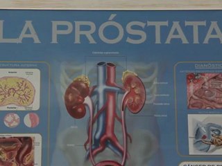 Urología - Madrid - Instituto Privado Urología.