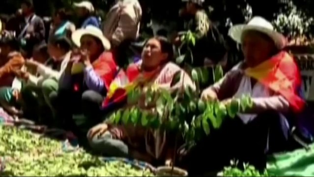 Bolivia - La marcia della coca