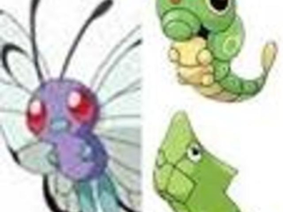 Pokémon HeartGold 05 - Le Bois aux chênes