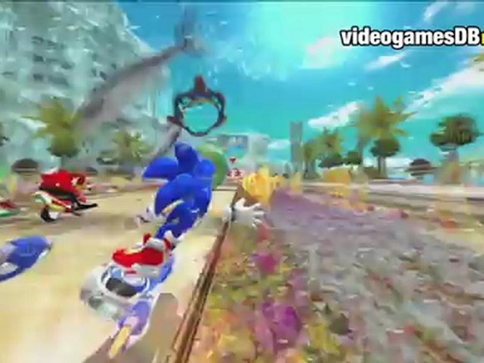 Sonic Free Riders