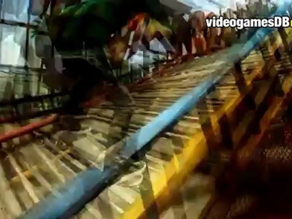 Shaun White Skateboarding