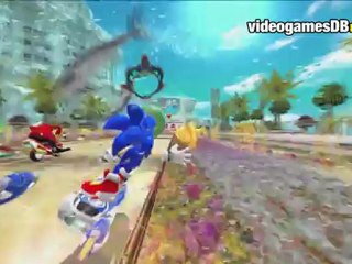 Sonic Free Riders