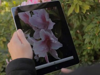 Adobe Creative Studio CS6 - Create Now