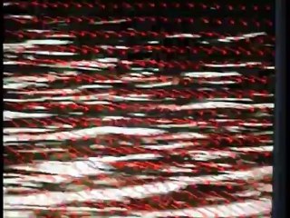 Le Canard Rochelais (2006)