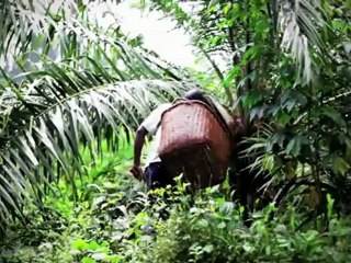 New Film Exposes the Devastating Impact of World Bank Backing for Land Investments in Uganda