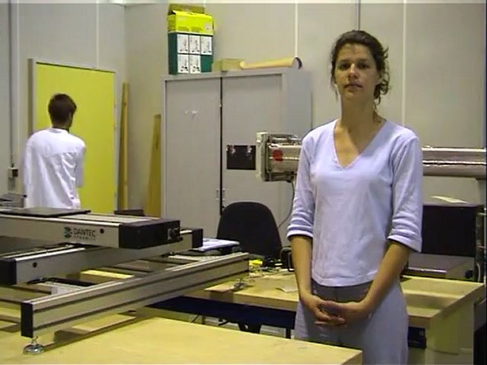 L'acoustique sans le son (2004)