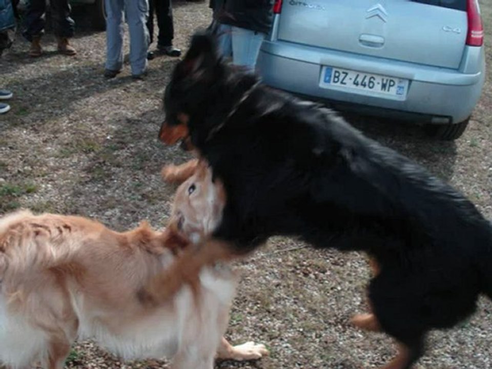RU hovas