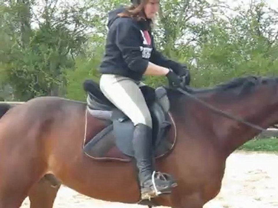 Saut de puce Quanni 2