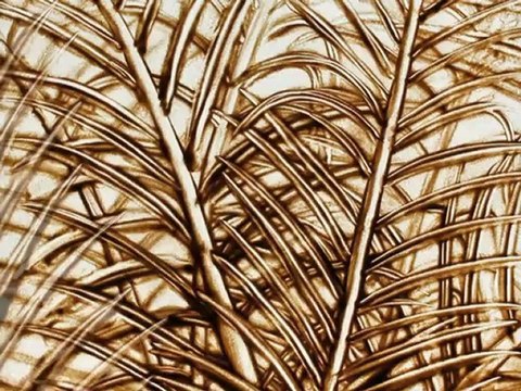 PUB - Fort Dauphin Sand Animation by David Myriam produced by Citron Bien