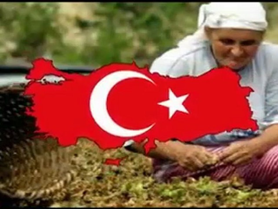 Türk olmak:τηςу