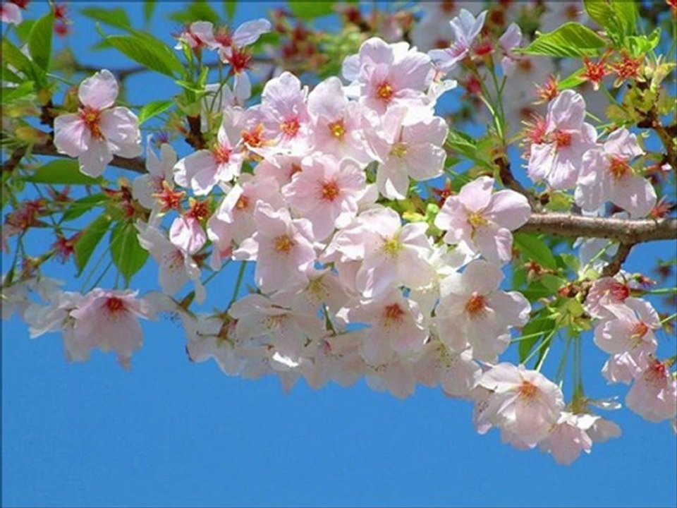 Bienvenue sur ma chaîne ! :)