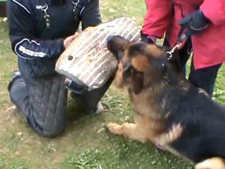Eliot Ness du Normont  travail RCI  22/04/2012 partie1