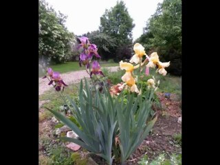 chambre hôte sur route des vins