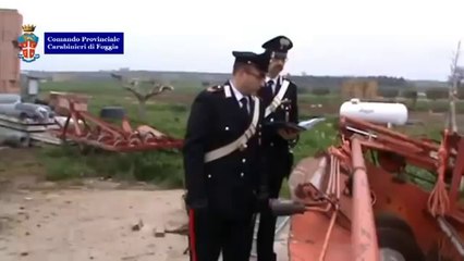 Lucera (FG) - Riciclaggio di mezzi agricoli, 5 arresti (21.03.12)