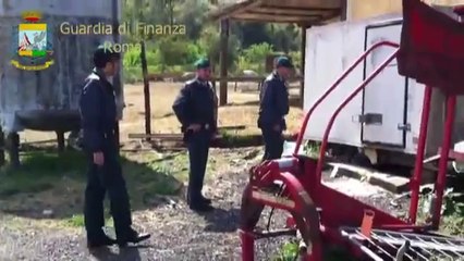 Roma - Macellazione abusiva di agnelli ad Acilia (11.04.12)