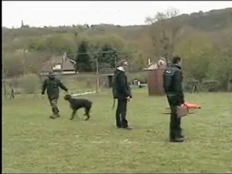 resister a la tentation... Marche aux pieds RCI