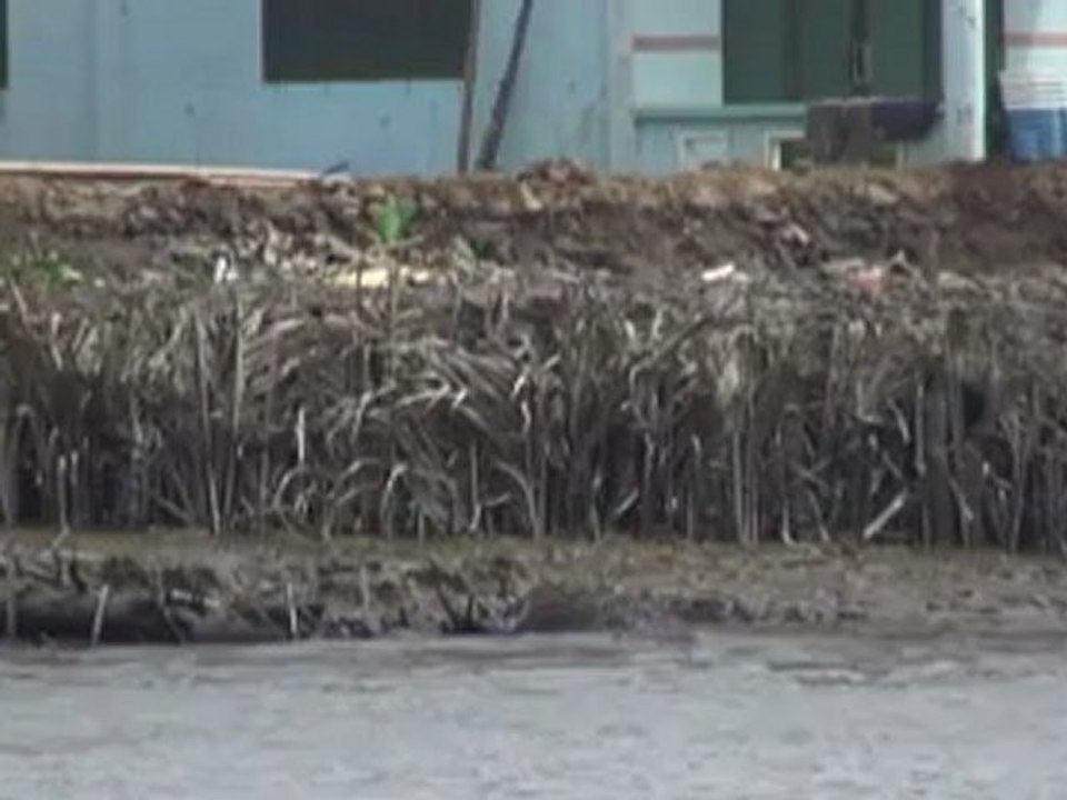 Mekong à My Tho - Vietnam