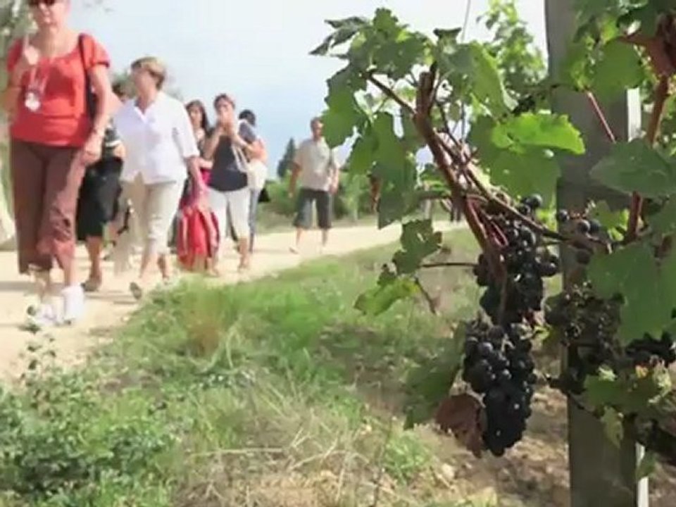 Episode 10 : Brownies pépites de chocolat blanc et gingembre confit