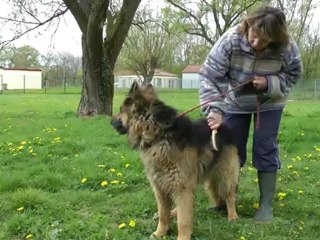 Refuge de l'Etang Bleu - Thierville sur Meuse