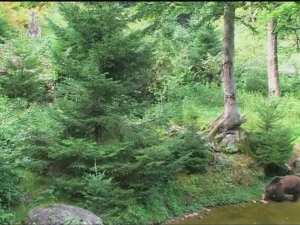 NORVEGE - MARCHAND - Bande-annonce VF