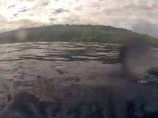 Juliette et Gauthier à la pointe aux sels