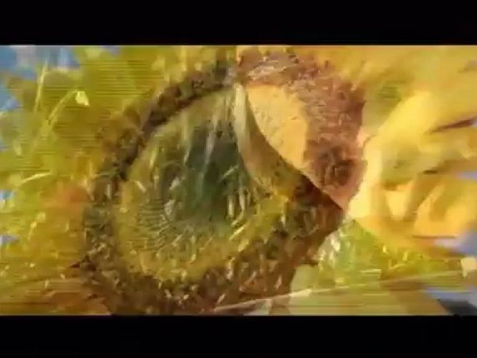 Mass Effect 3 Crack and Trainer - 100% WORKING