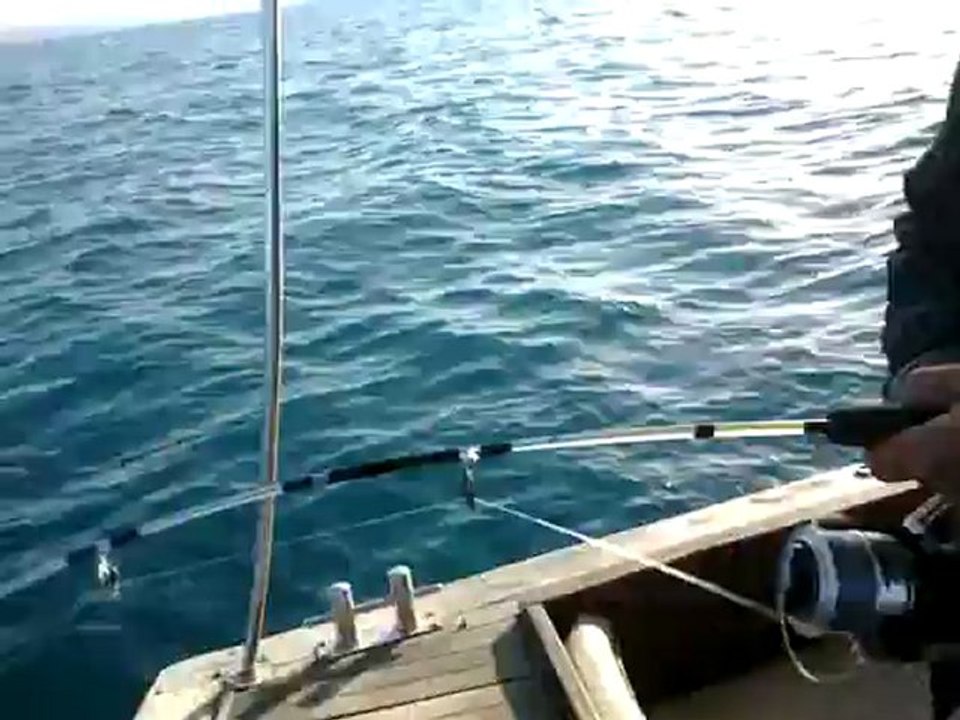 22042012071