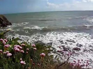 Bord litoral Breton région de Quimperlé
