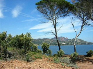 LE MASSIF DE L ESTEREL (SUD de la FRANCE° PAR MIMIE 2159