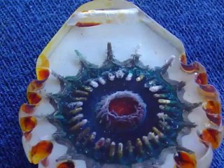 zoom joe's work fotos