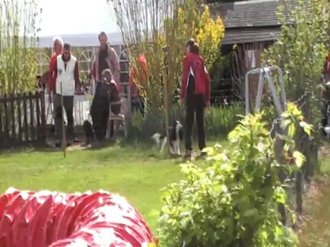 ETHAN-COOKY JUMPING CABOCHARDS