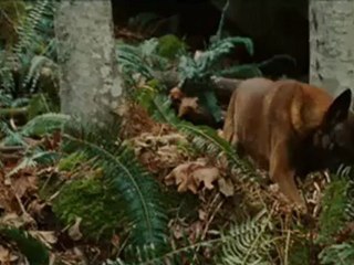 Wrecked (2010) - Clip Sharing