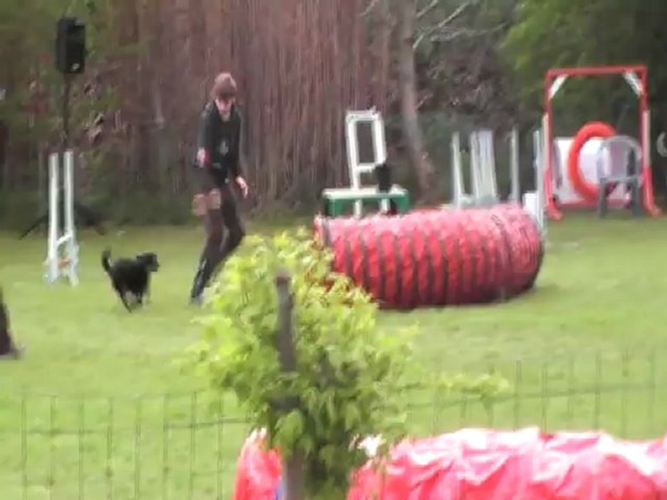 COCA JUMPING CABOCHARDS